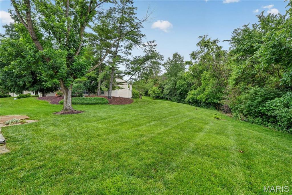 1433 Tahoe Valley Court