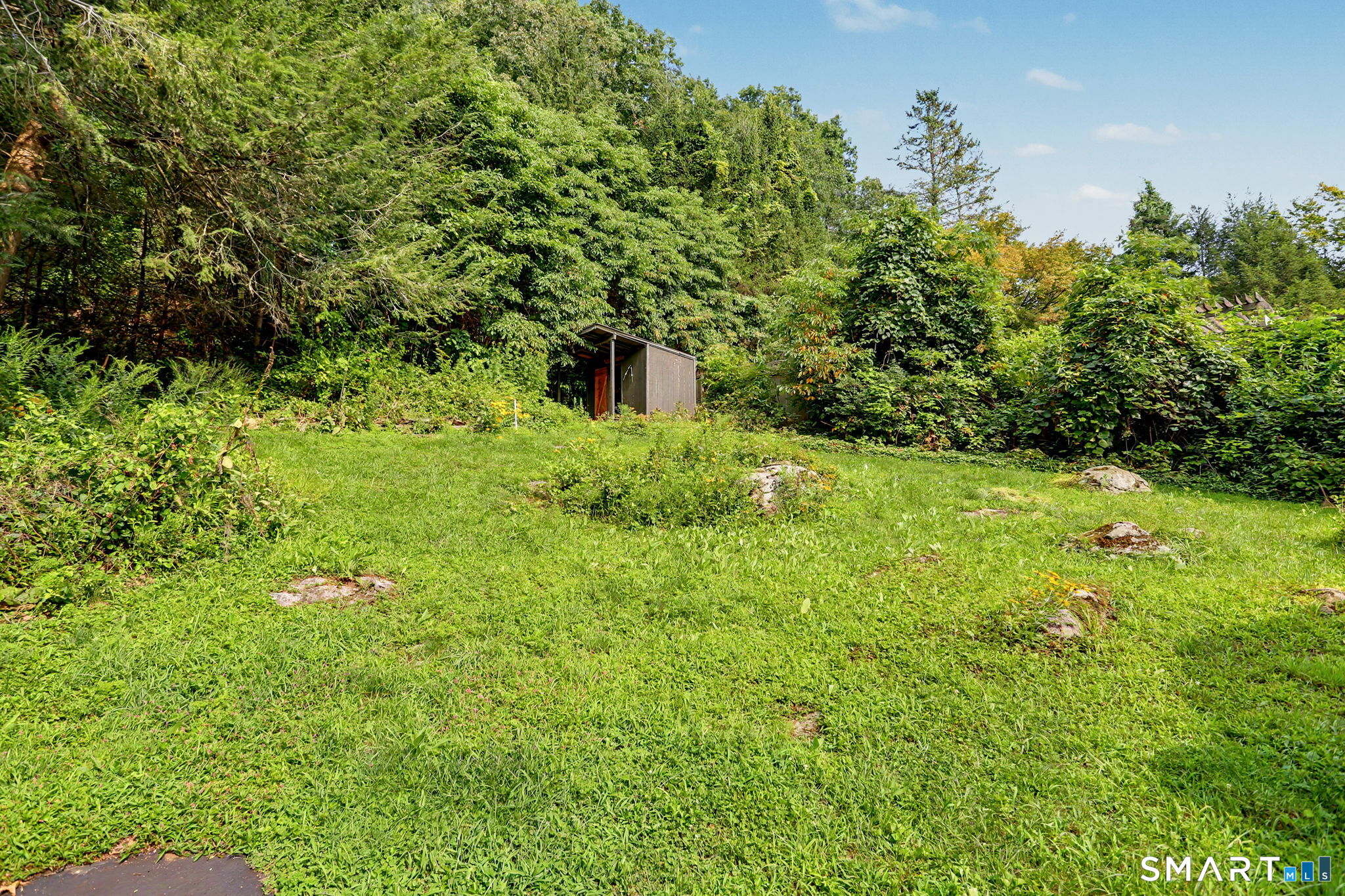 Grassy wooded yard with scattered rocks and a small shed.