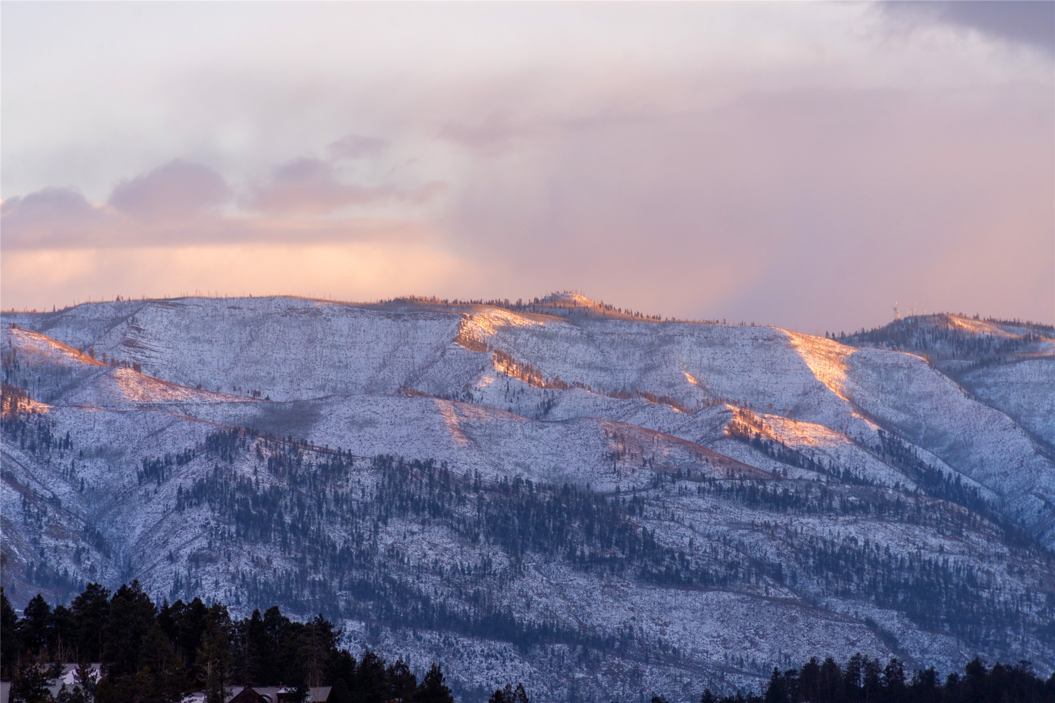 163 Peregrine Street