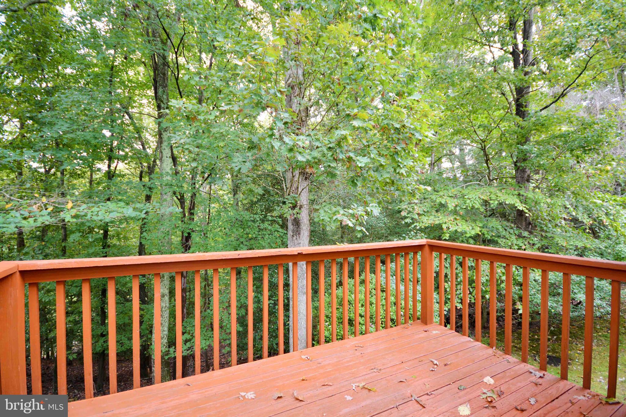 2590 GOLFERS RIDGE ROAD