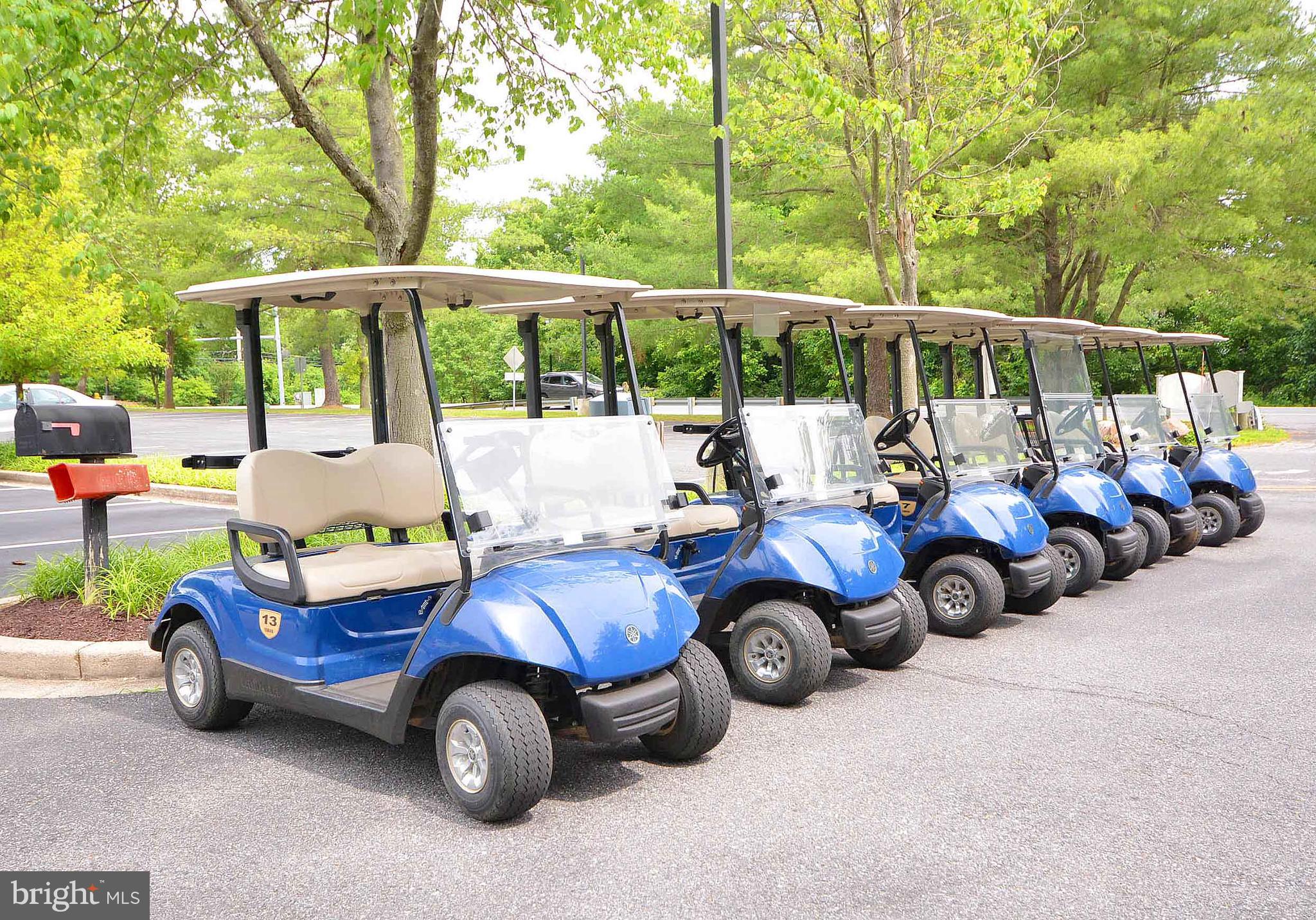 2590 GOLFERS RIDGE ROAD