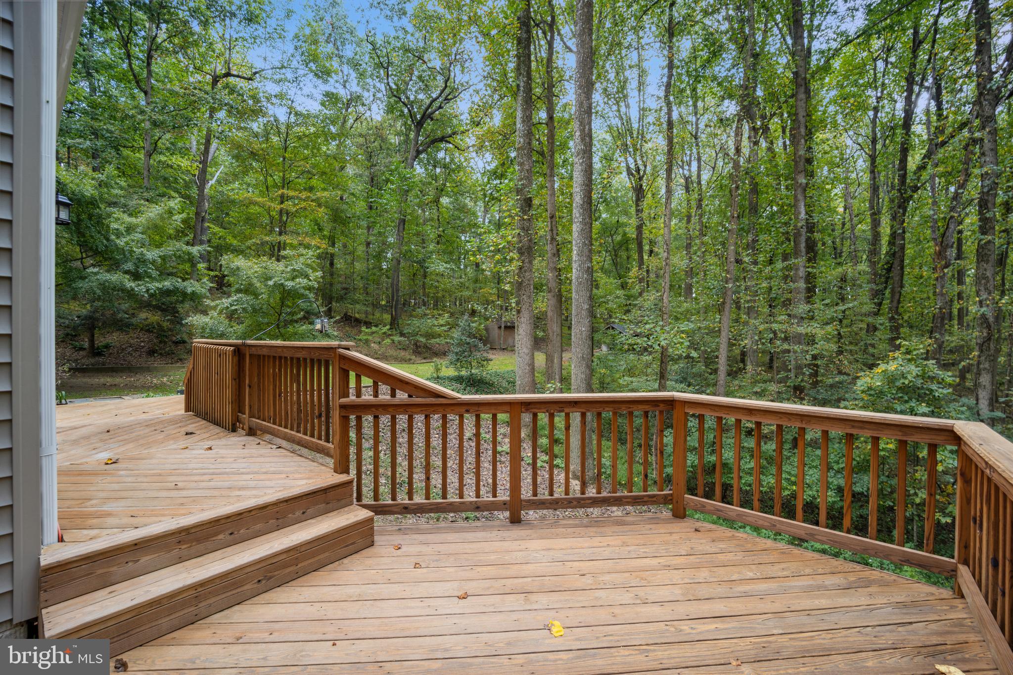 2425 WOOD STREAM COURT