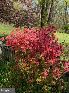 7131 WILLOW BROOK WAY