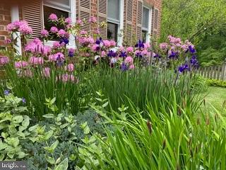 7131 WILLOW BROOK WAY