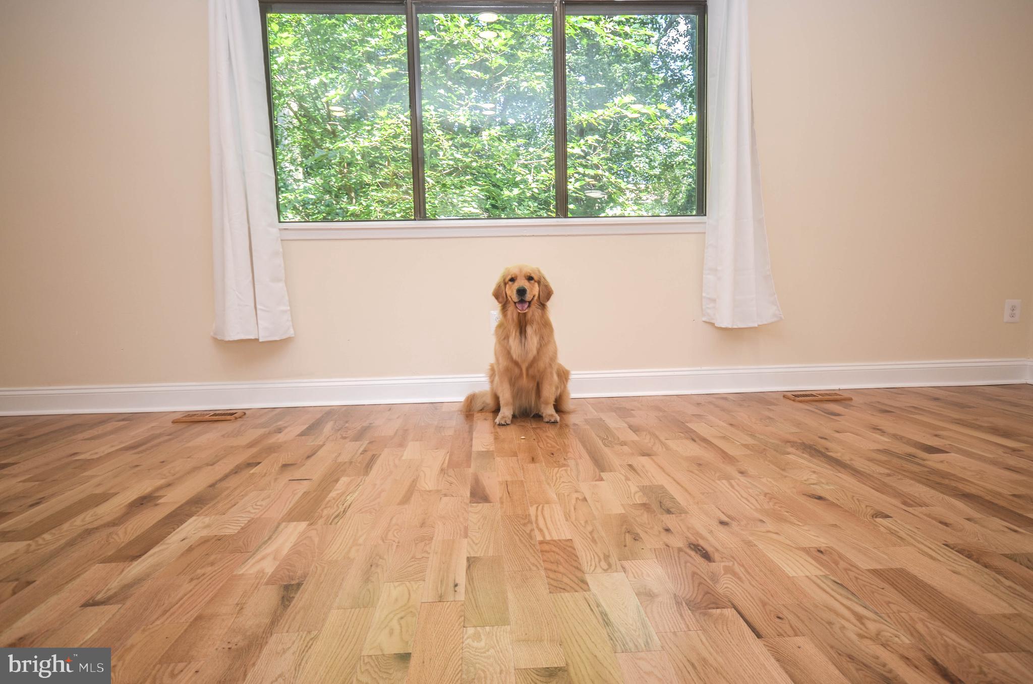 7447 HICKORY LOG CIRCLE
