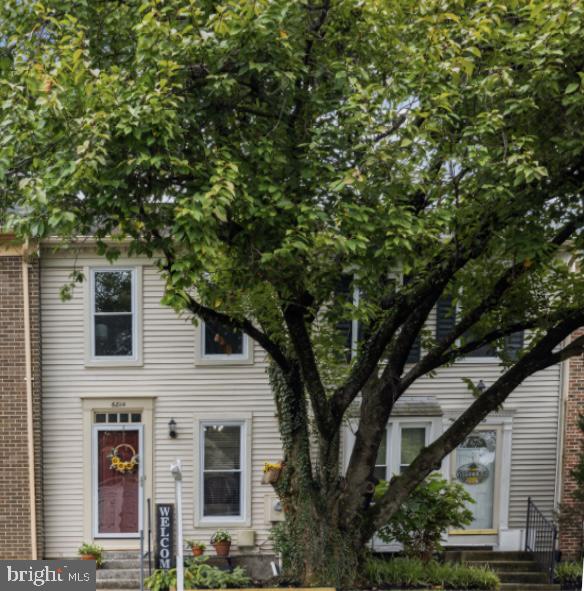 6814 DUCKETTS LANE 30-4