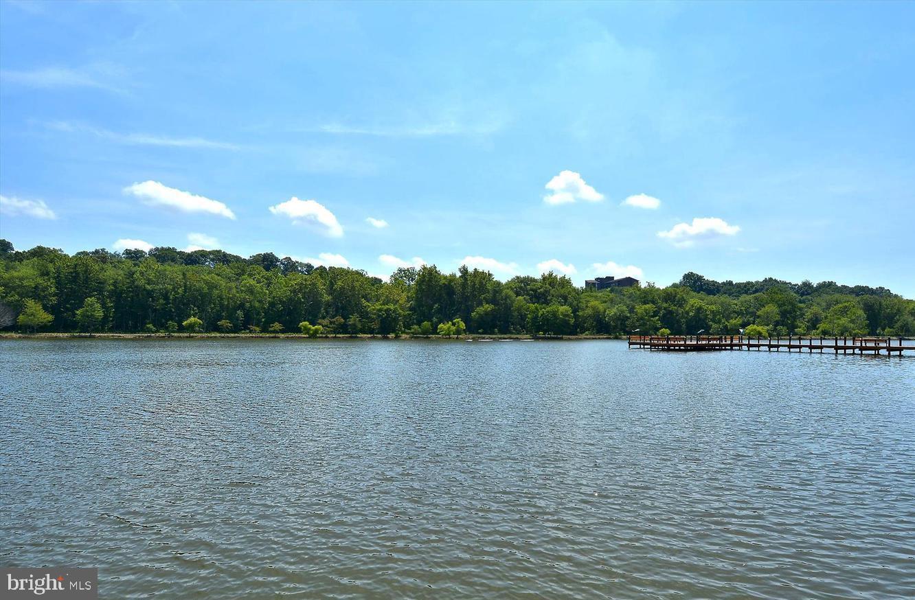 10205 WINCOPIN CIRCLE 312