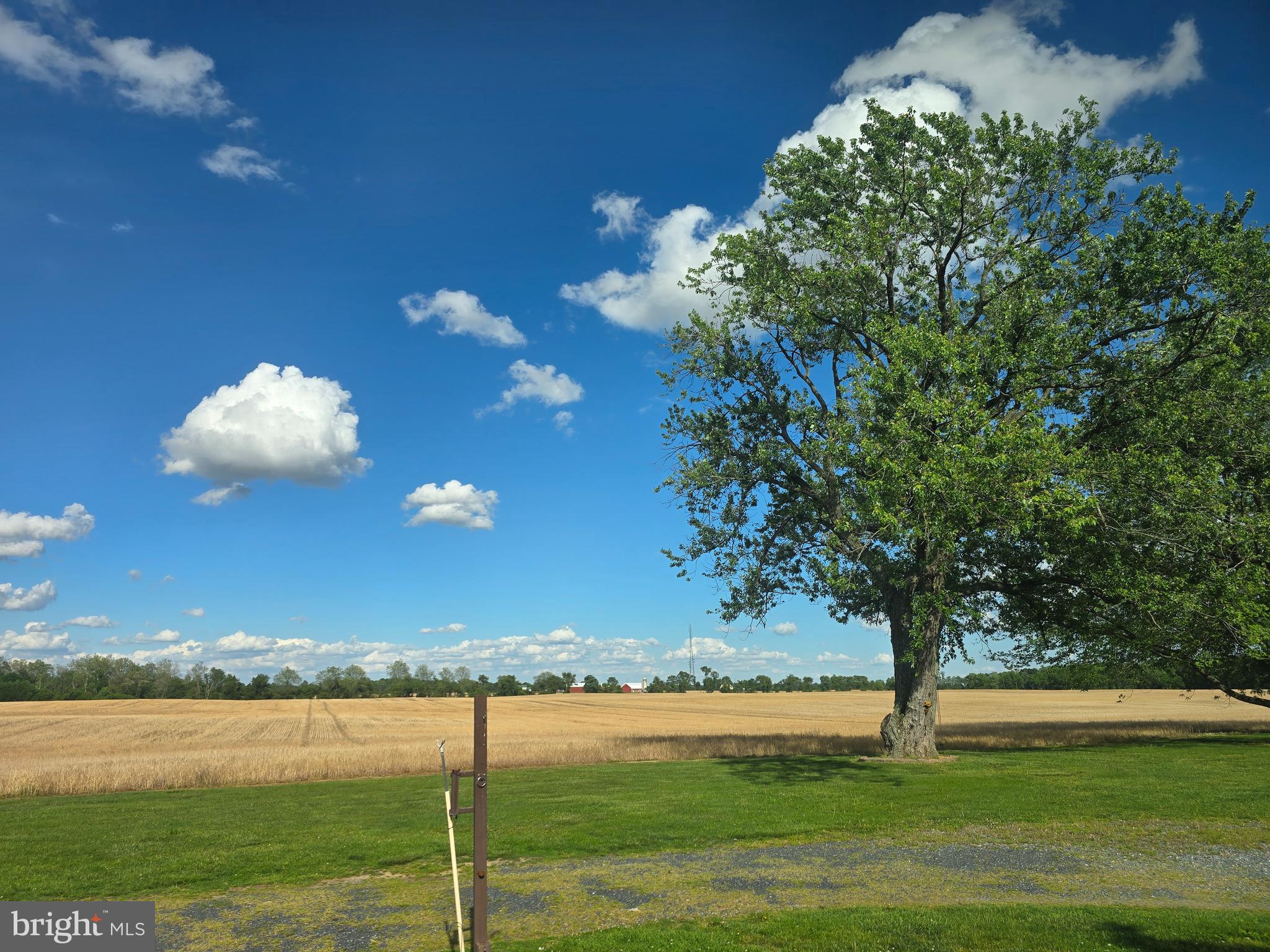 14135 OLD WYE MILLS ROAD