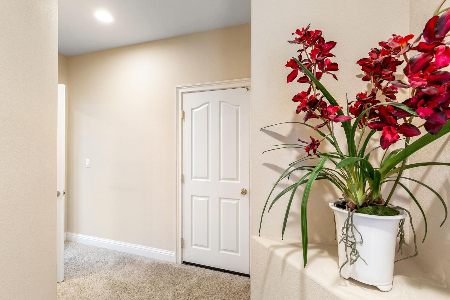 1680 Baroness Way