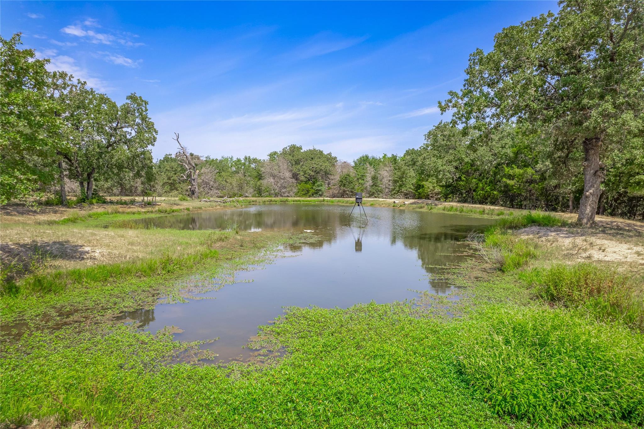 251 Fairview DR