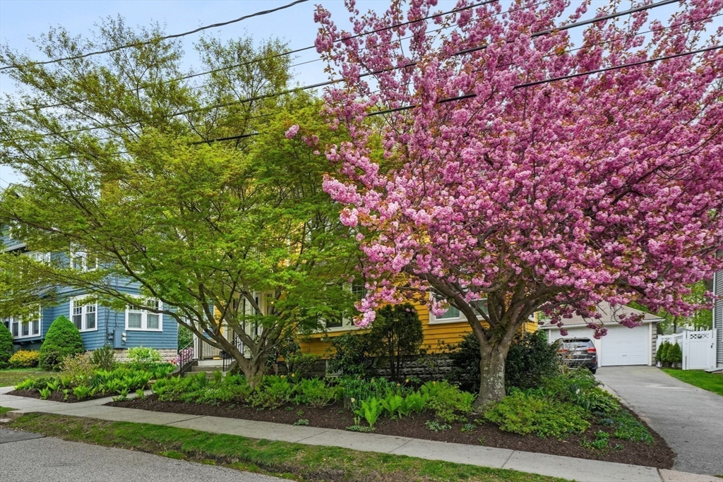 11 Flint Rd # 1