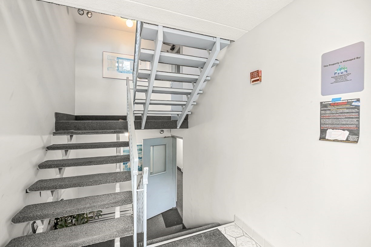 Bright stairwell with gray-carpeted open-riser stairs and a light blue entry door.