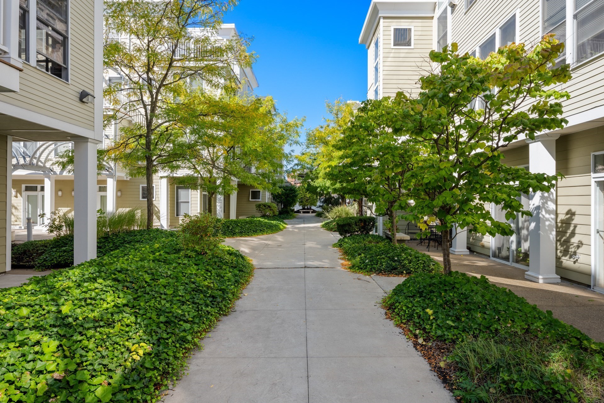 Residential courtyard with a paved walkway between buildings, leafy trees, and dense landscaping.