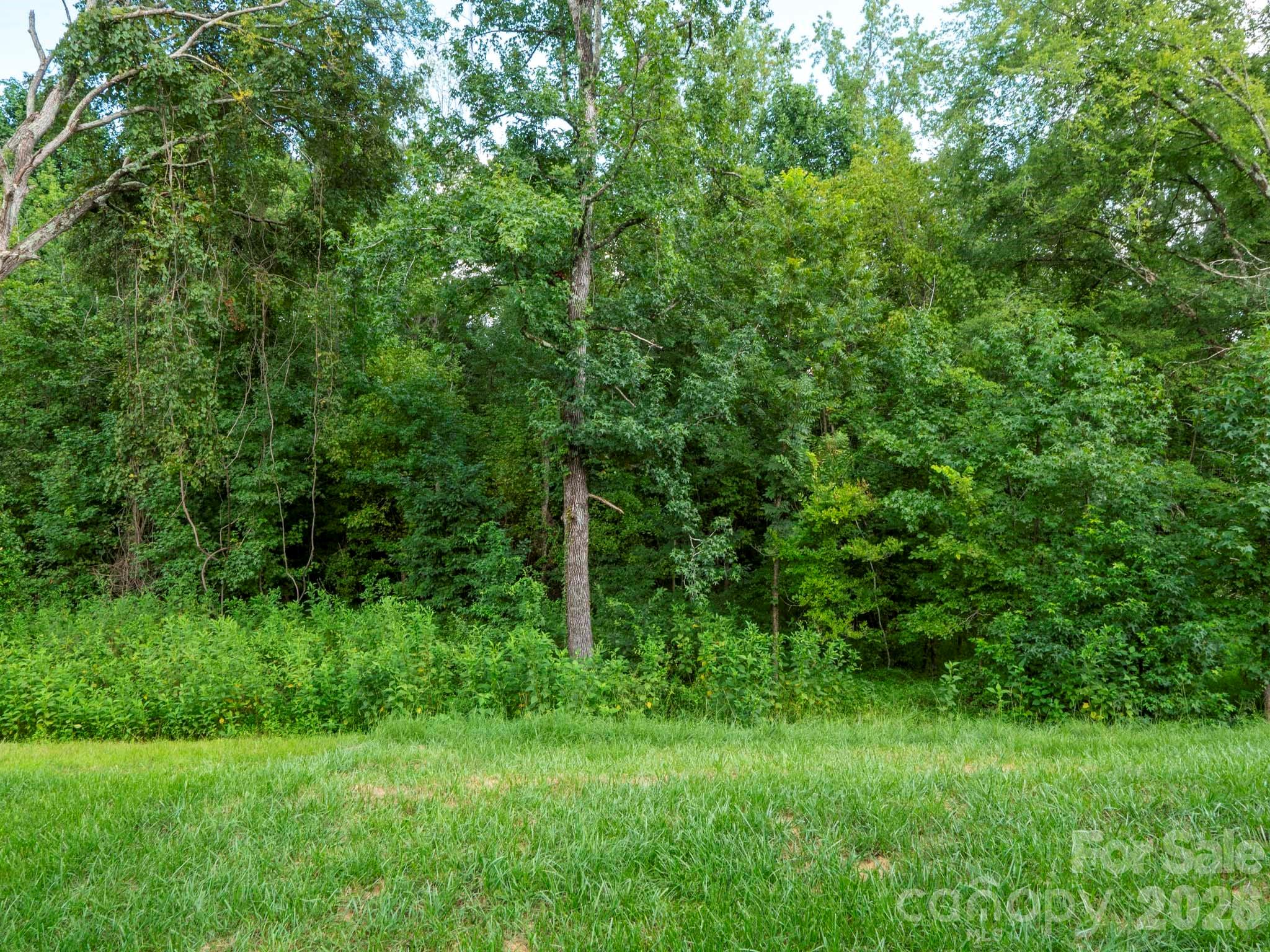 7203 Stoney Wood Lane