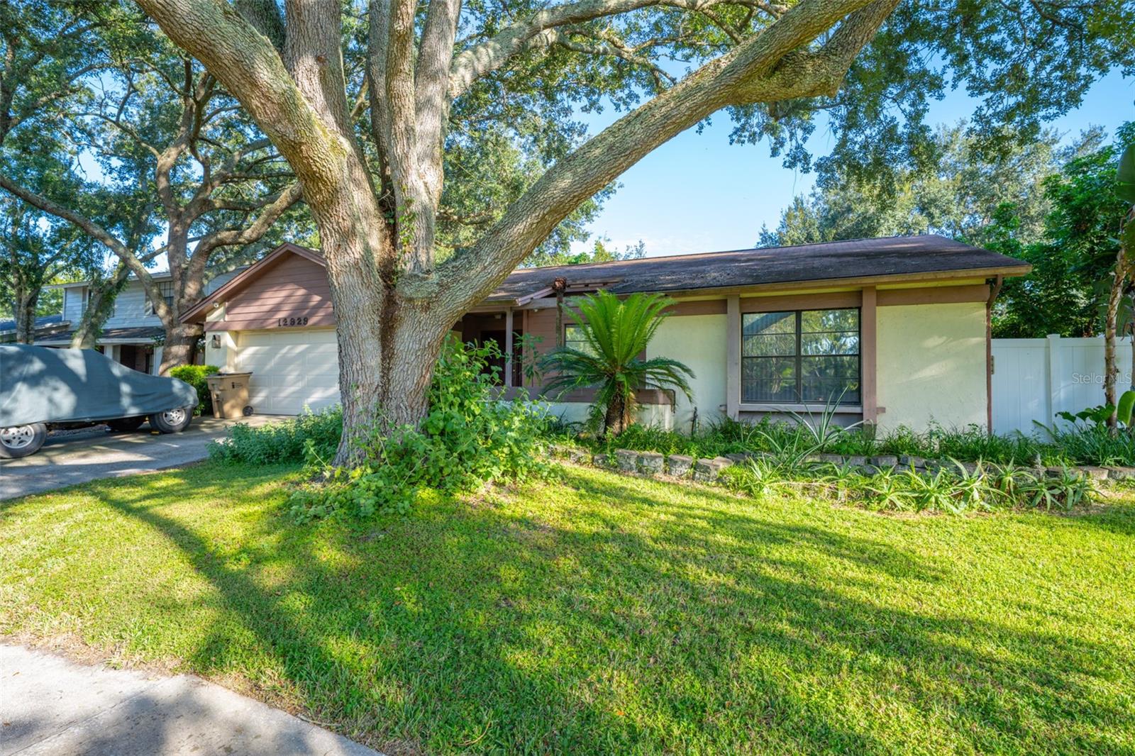 12929 RAIN FOREST ST