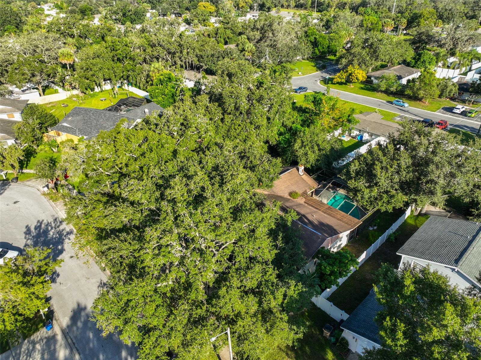 12929 RAIN FOREST ST