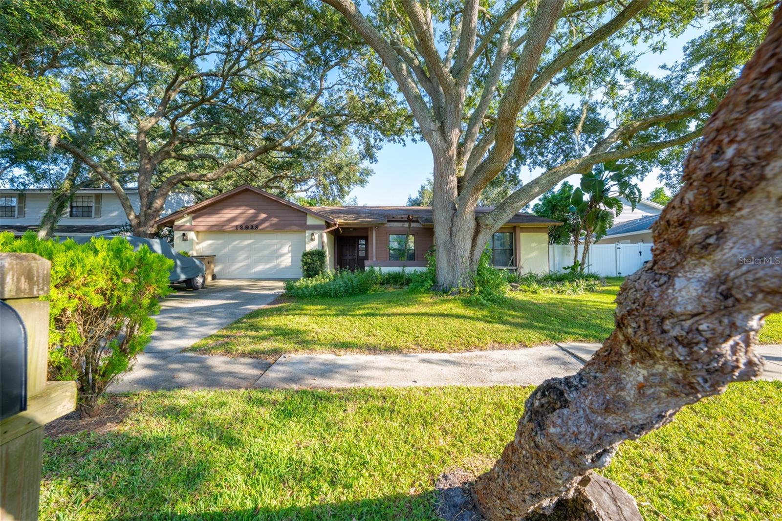 12929 RAIN FOREST ST