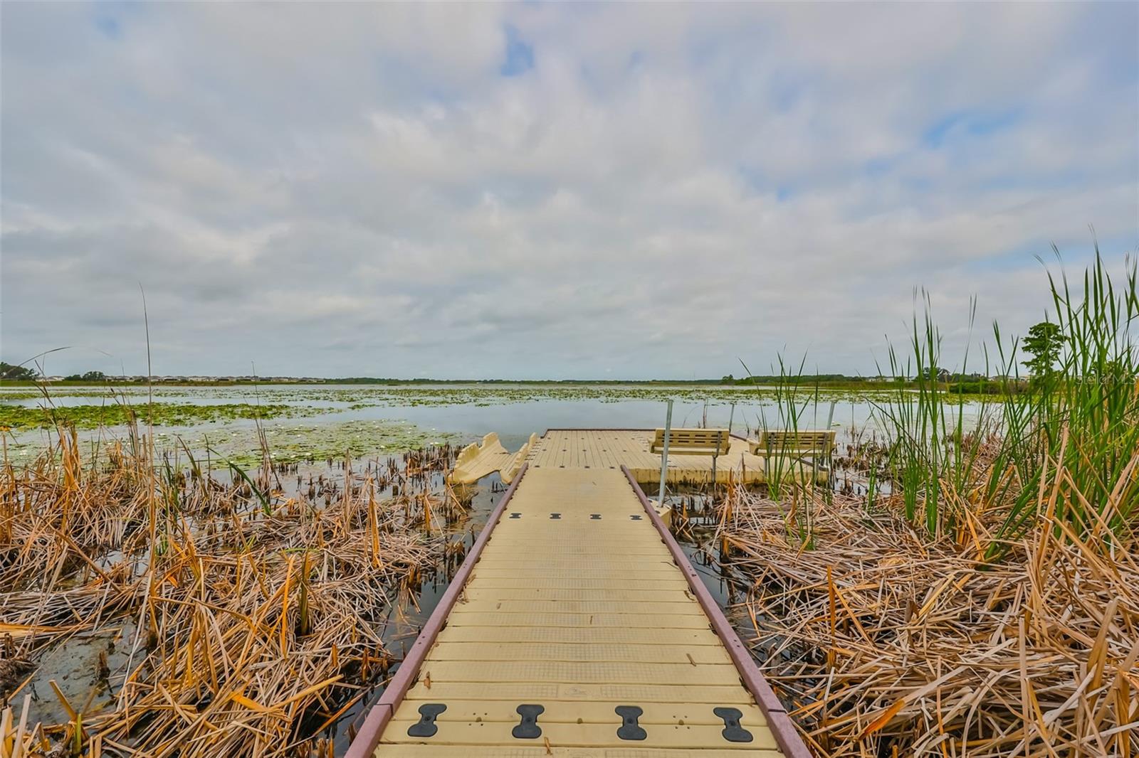 9497 IBIS GROVE BLVD