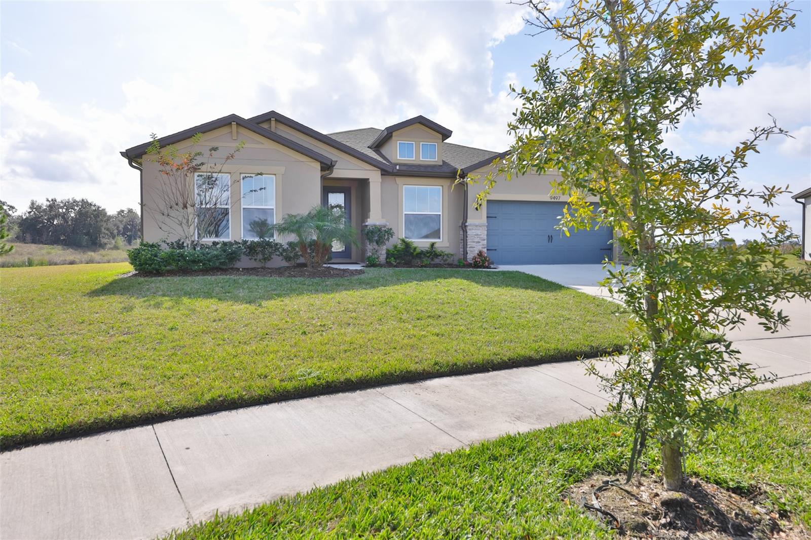 9497 IBIS GROVE BLVD