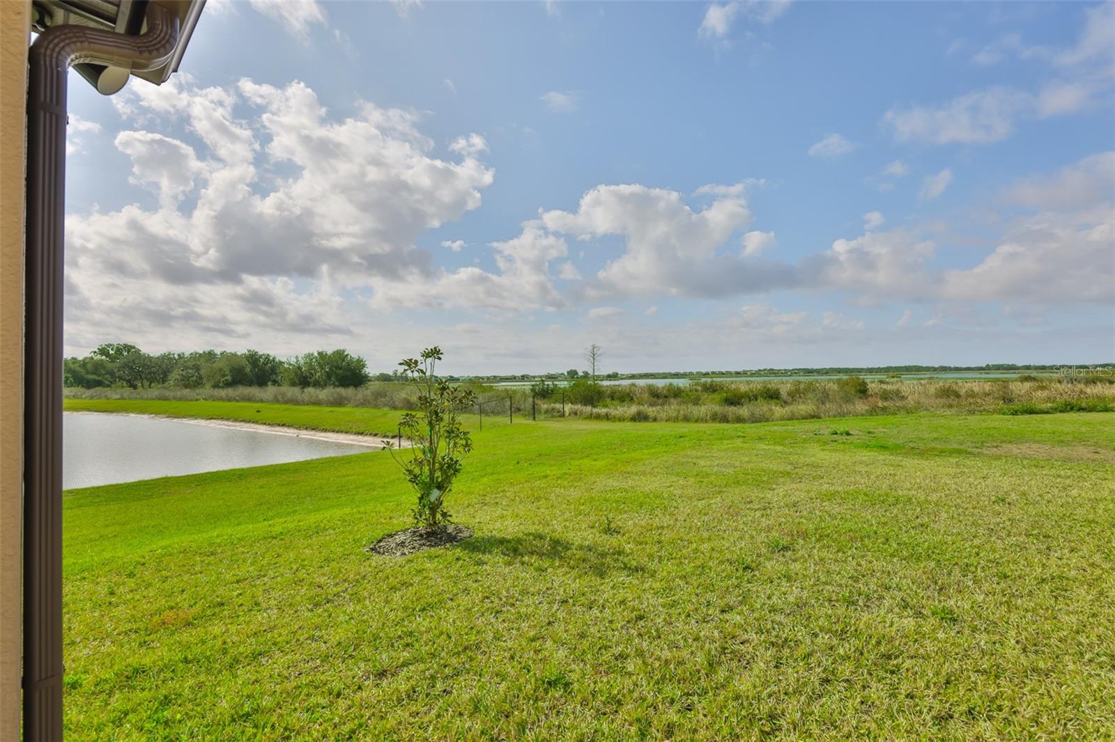 9497 IBIS GROVE BLVD