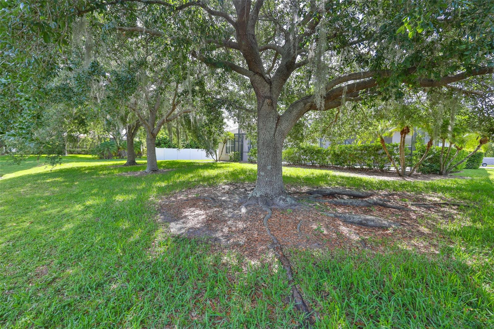 16508 AMBERWIND LN