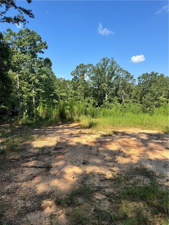 6051 Bear Lake Drive