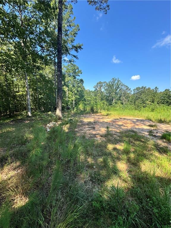 6051 Bear Lake Drive