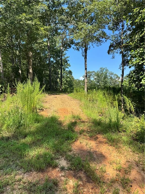 6051 Bear Lake Drive