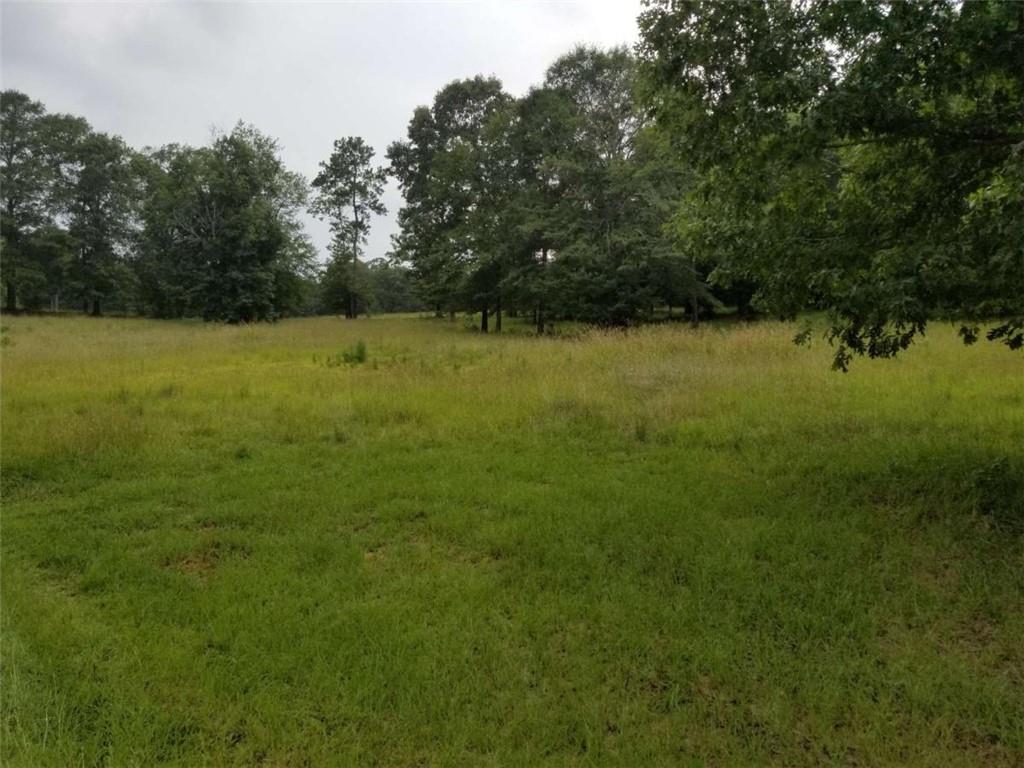 509 Brushy Creek Circle