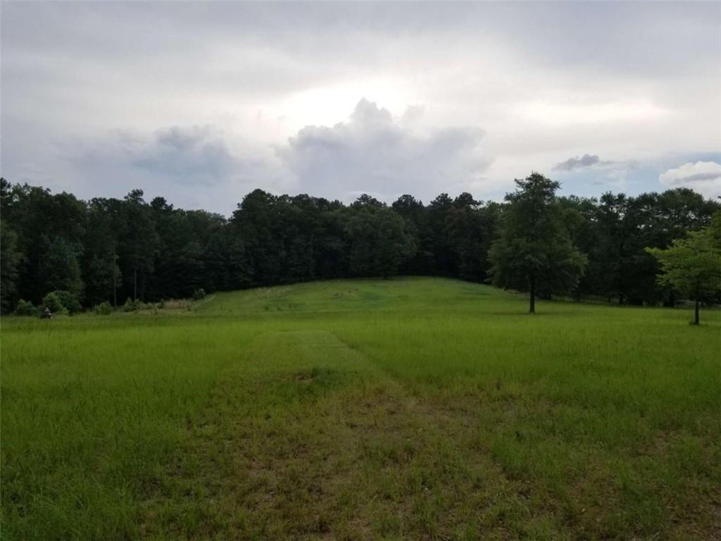 509 Brushy Creek Circle