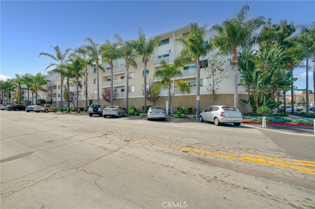 3565 Linden
