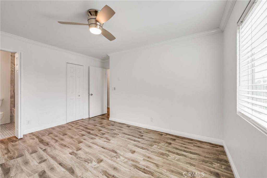 3565 Linden