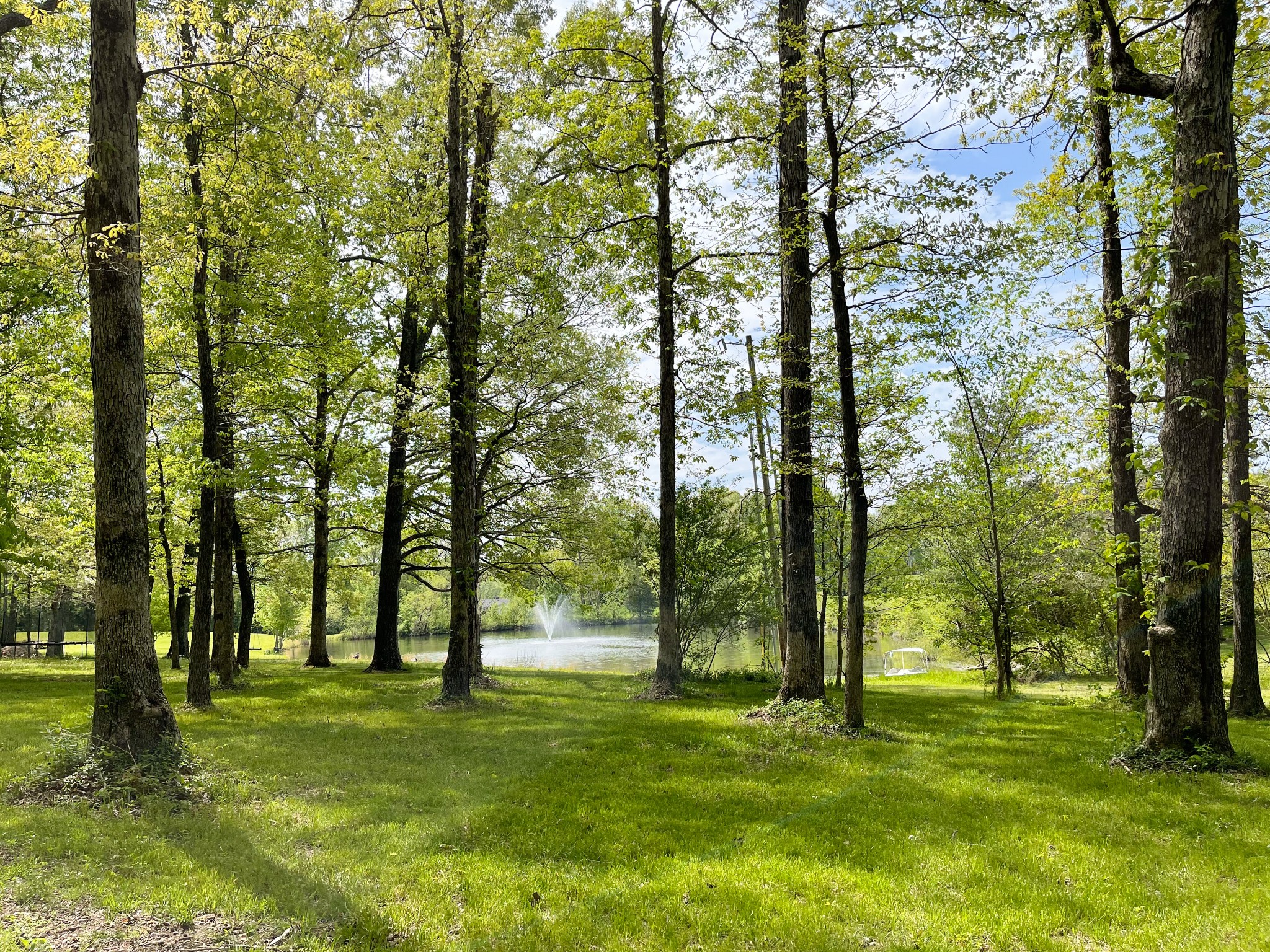 7317 Sugar Camp Hollow Rd