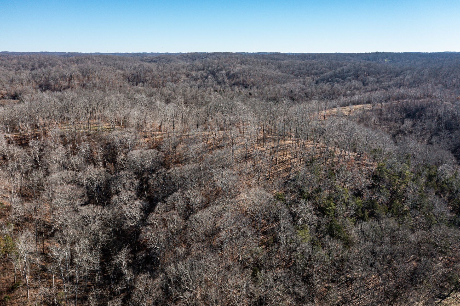 6017 Russell Ridge Lane