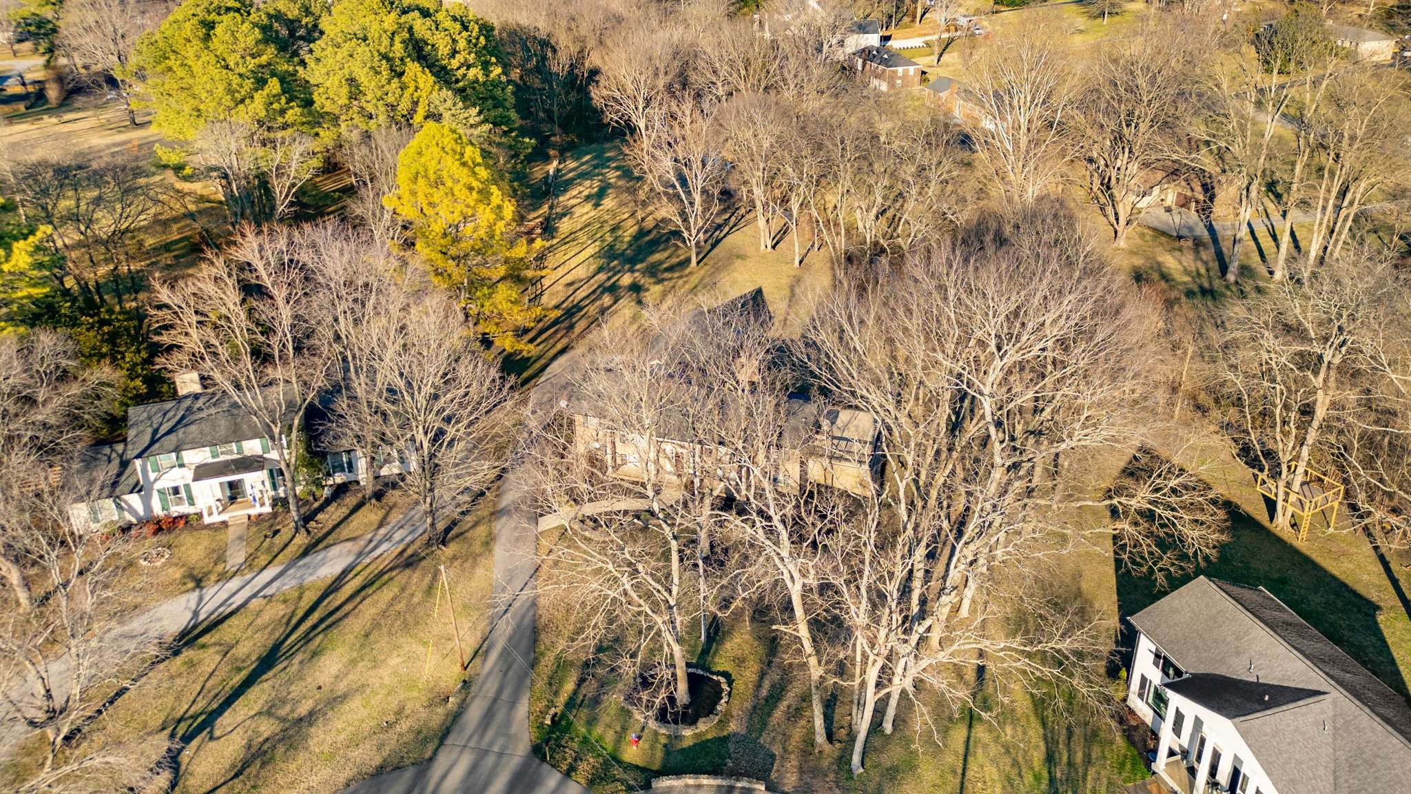 8012 Lipscomb Ct