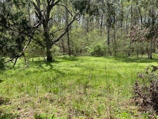 3520 Highway 47, E