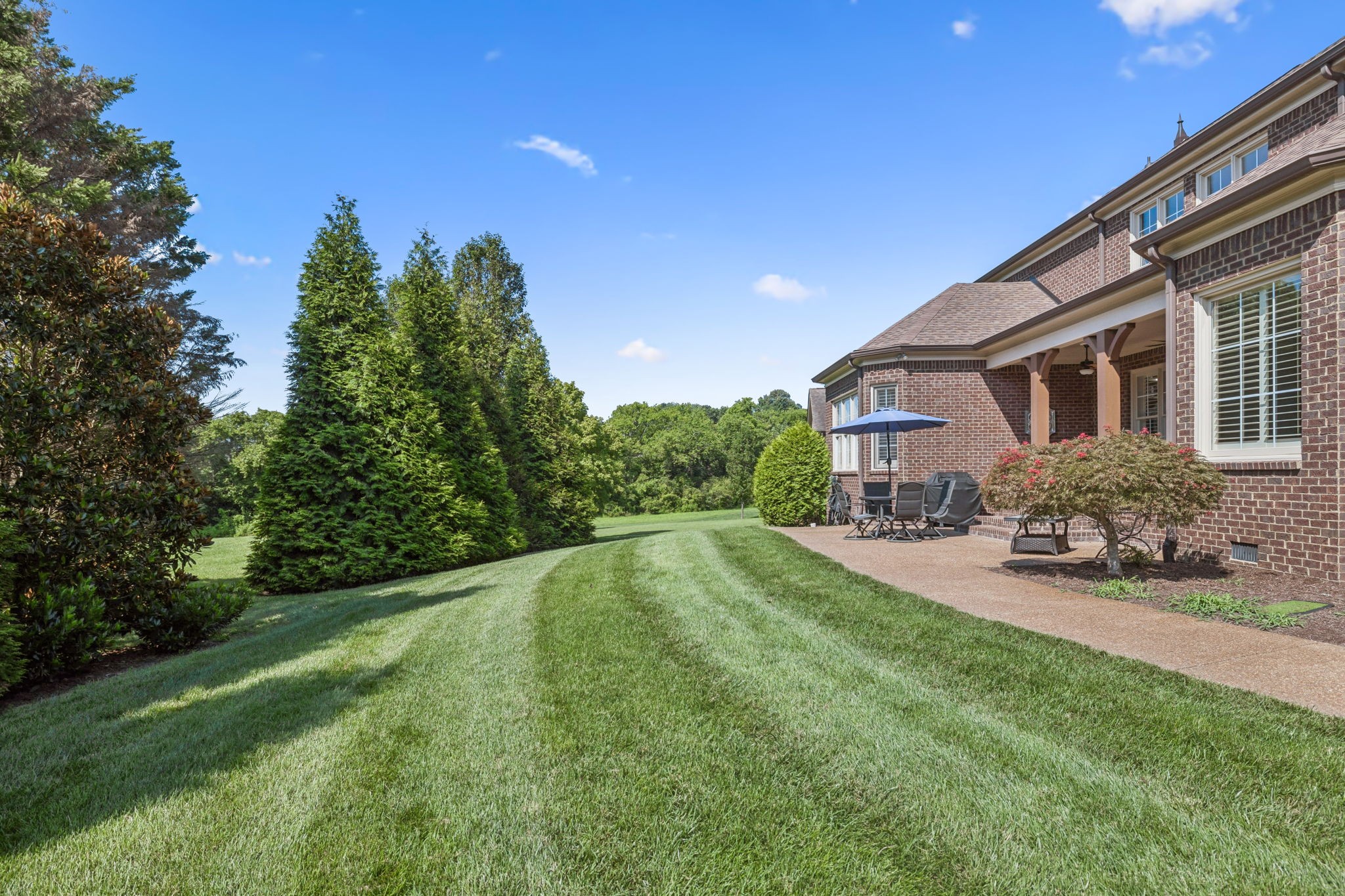 9065 Chardonnay Trce