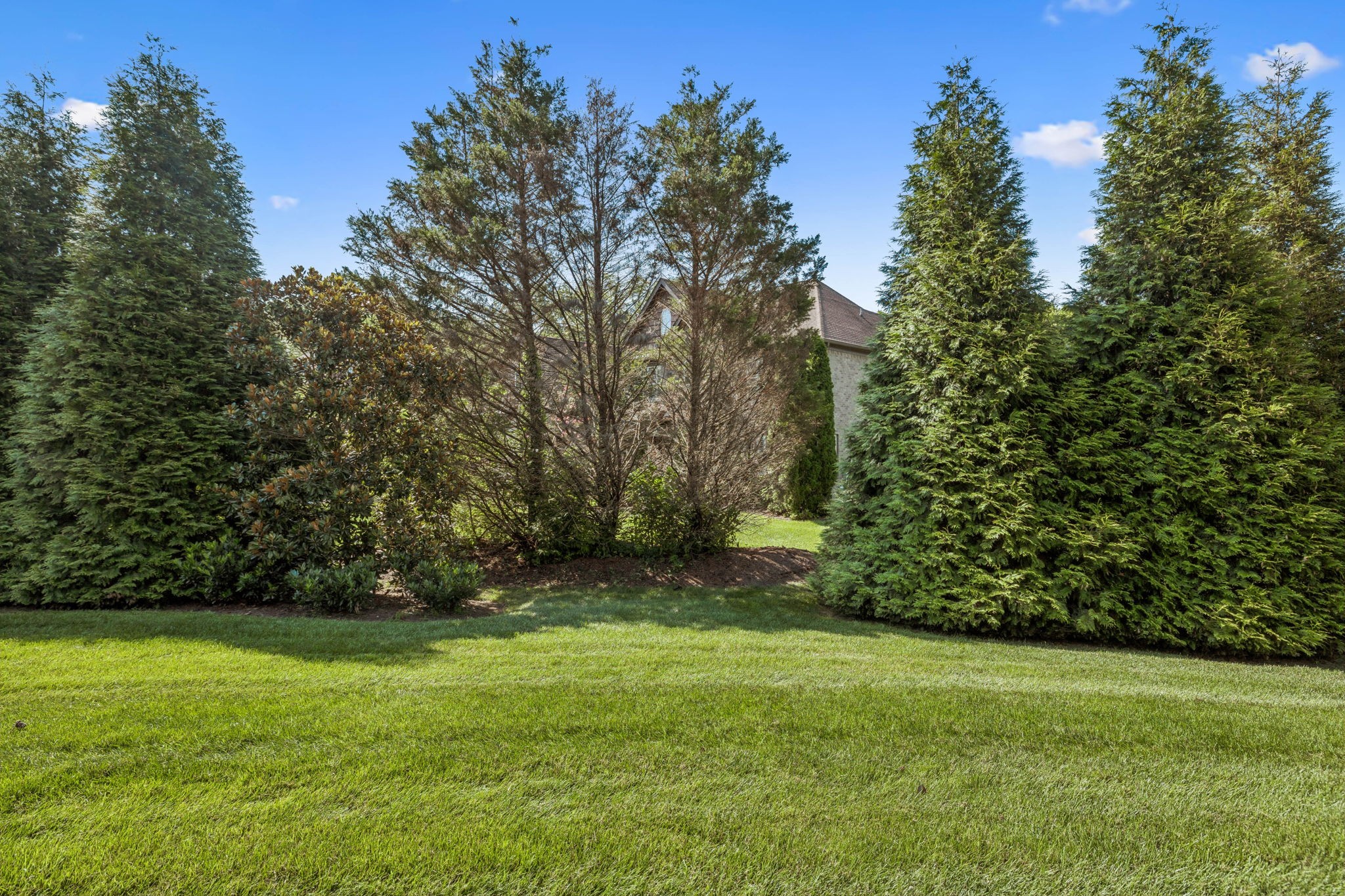 9065 Chardonnay Trce