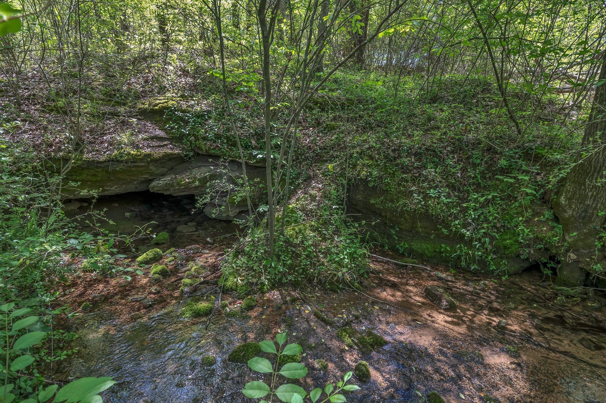 2600 Little Bartons Creek Rd