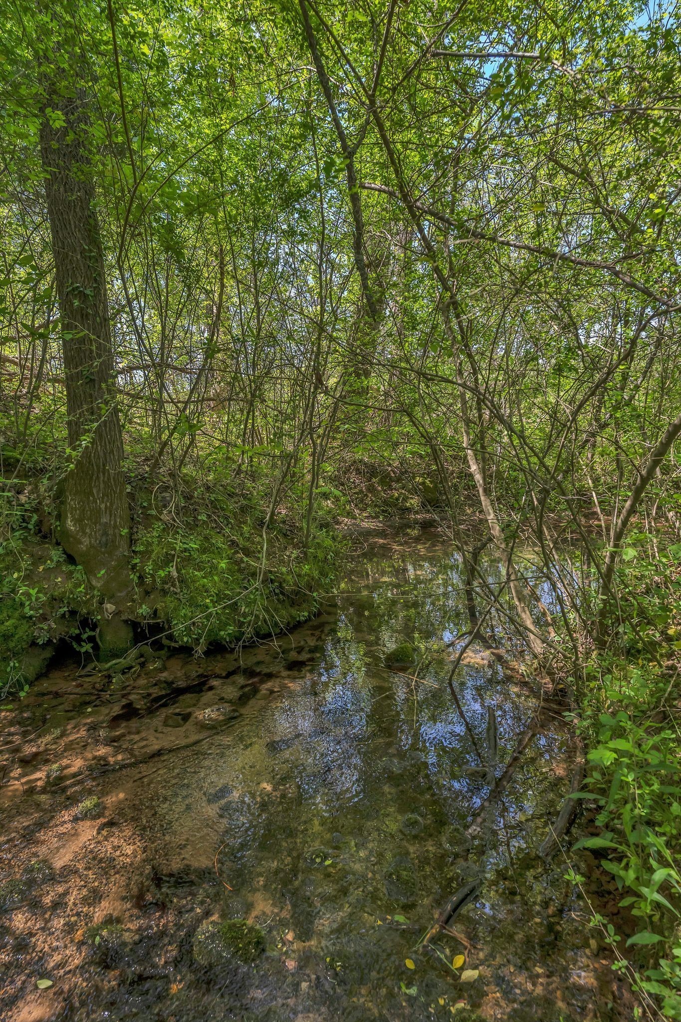 2600 Little Bartons Creek Rd