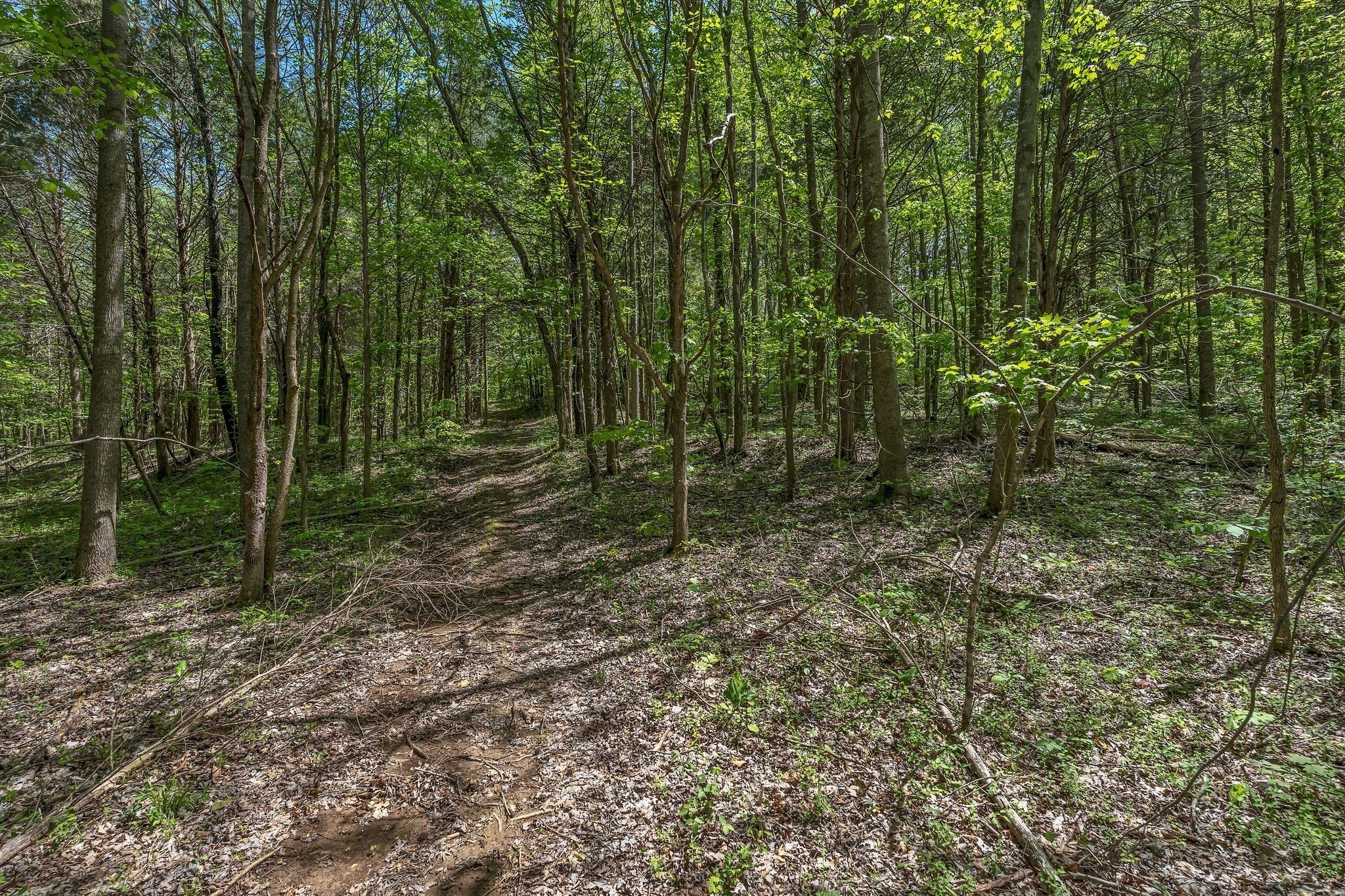 2600 Little Bartons Creek Rd