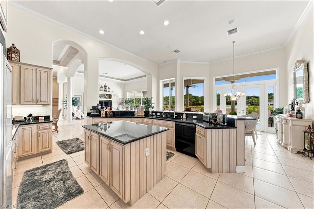 2339 Alexander Palm DR