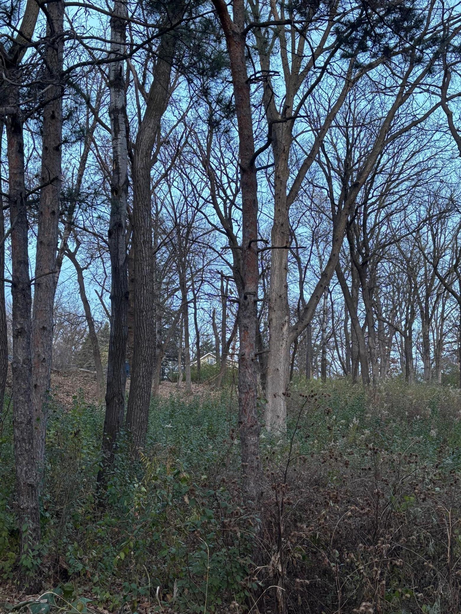 12786 Denmark Avenue