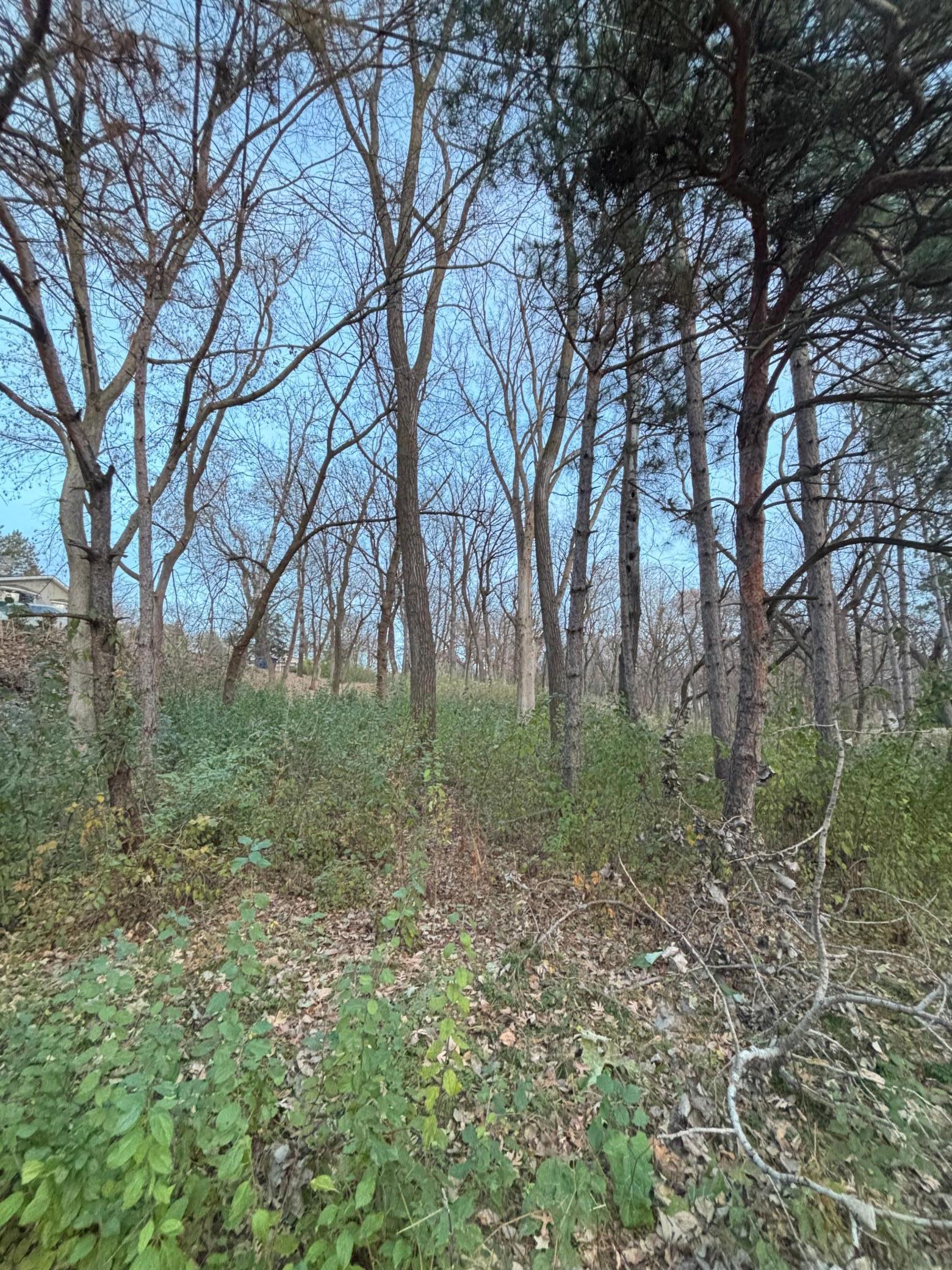 12786 Denmark Avenue