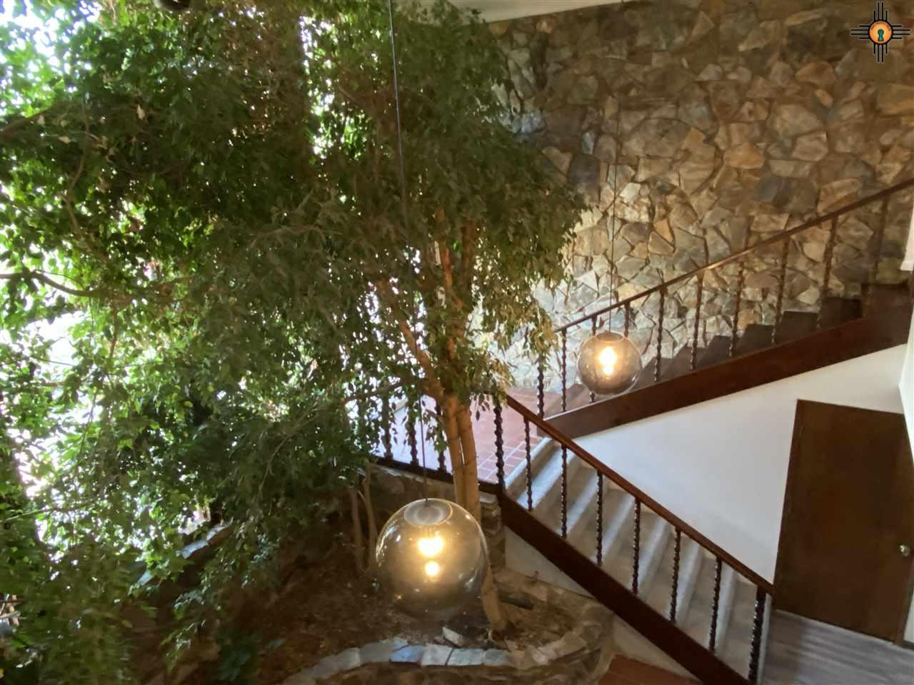 121 Remuda Dr