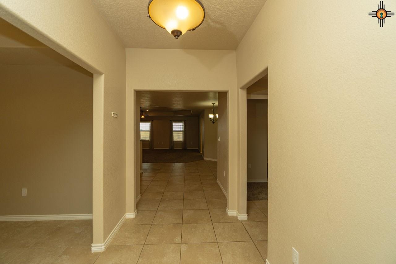 1029 Tall Grass