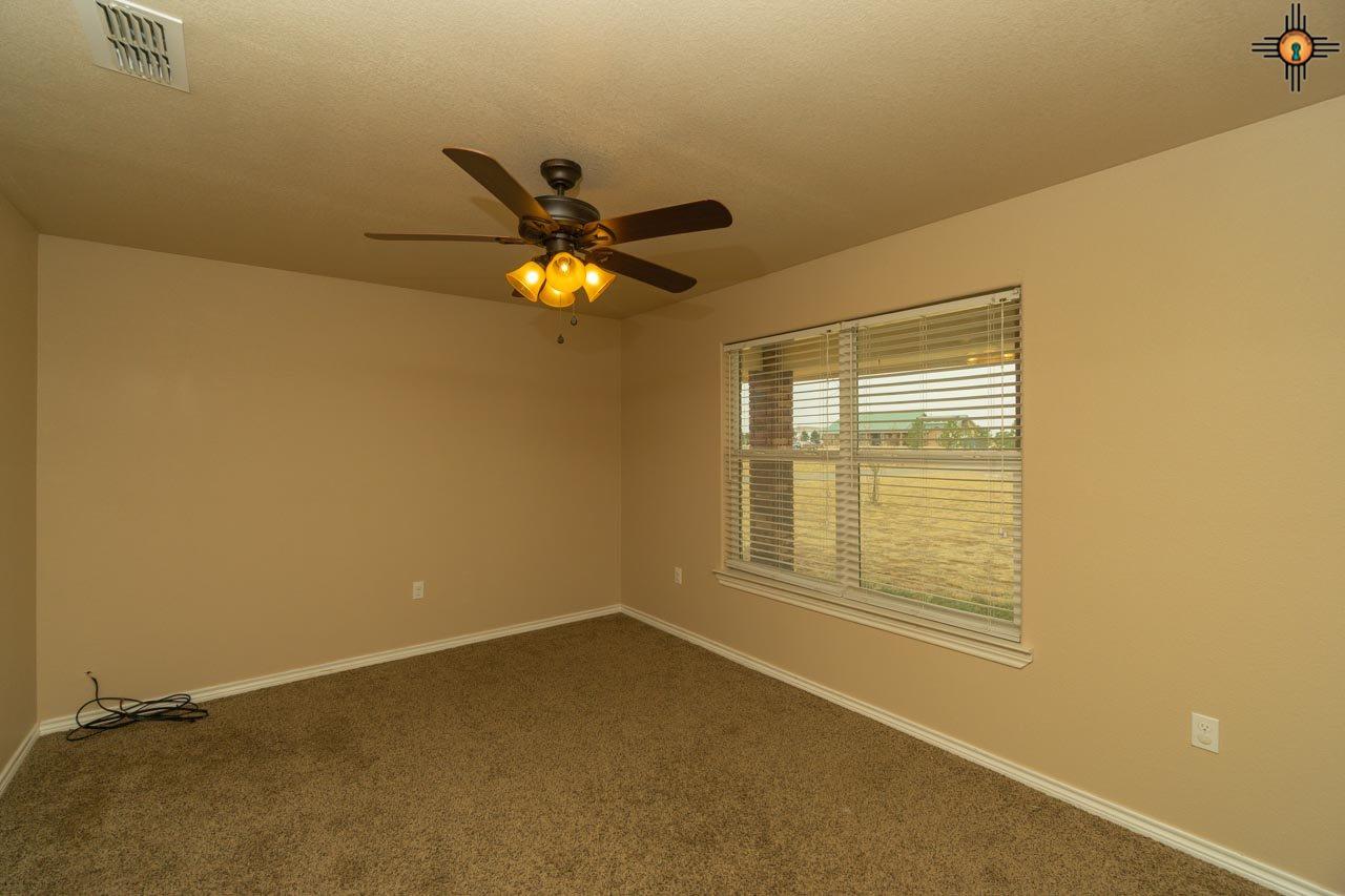 1029 Tall Grass
