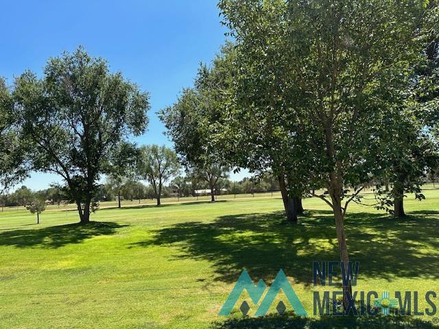 1505 Colonial Parkway