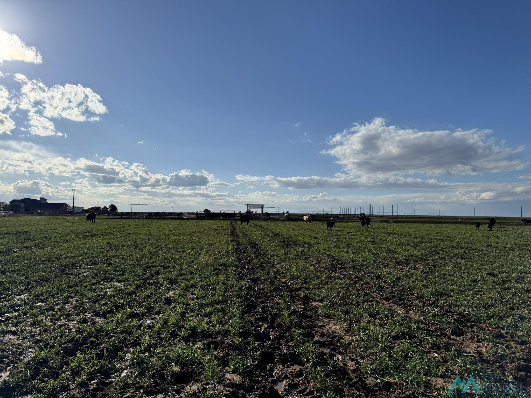 West Side of N Wilclark Road