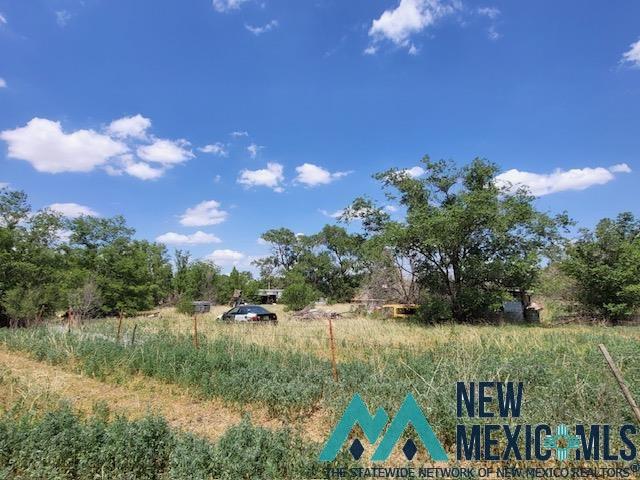 11 Navajo Road, Clovis